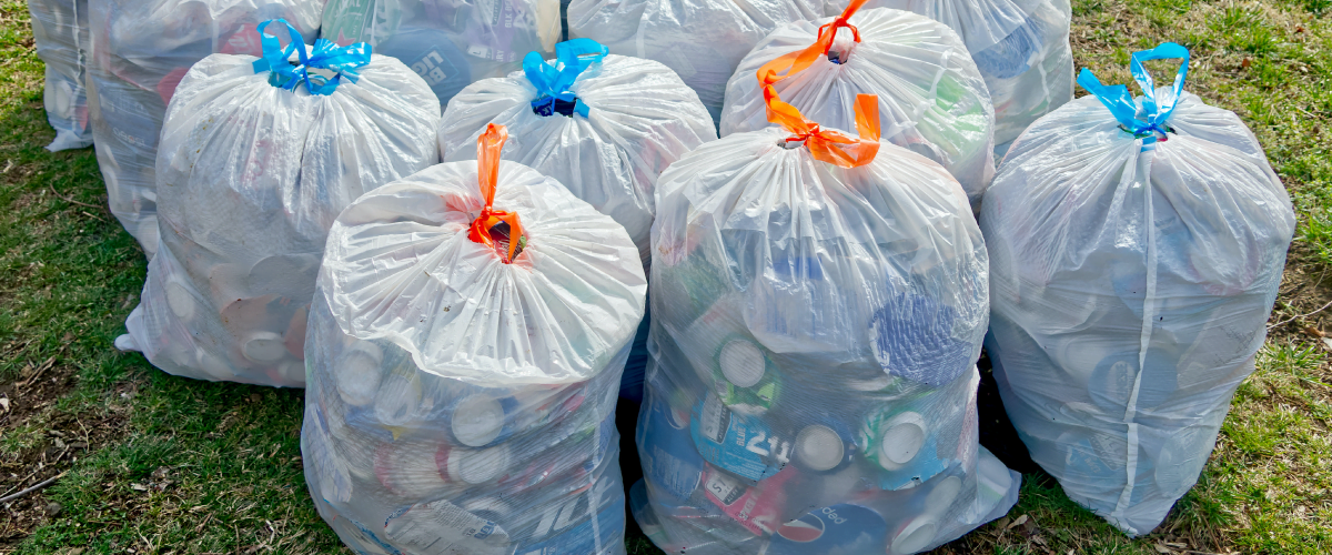 Double-Care-Garbage-Disposal